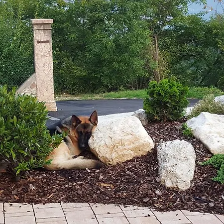 Al Maniero Vakantieboerderij Trente