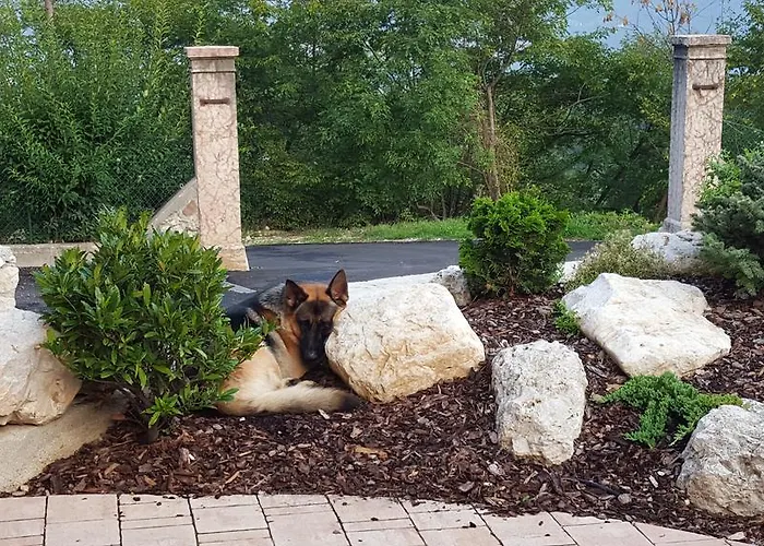 Al Maniero בית חווה טרנטו